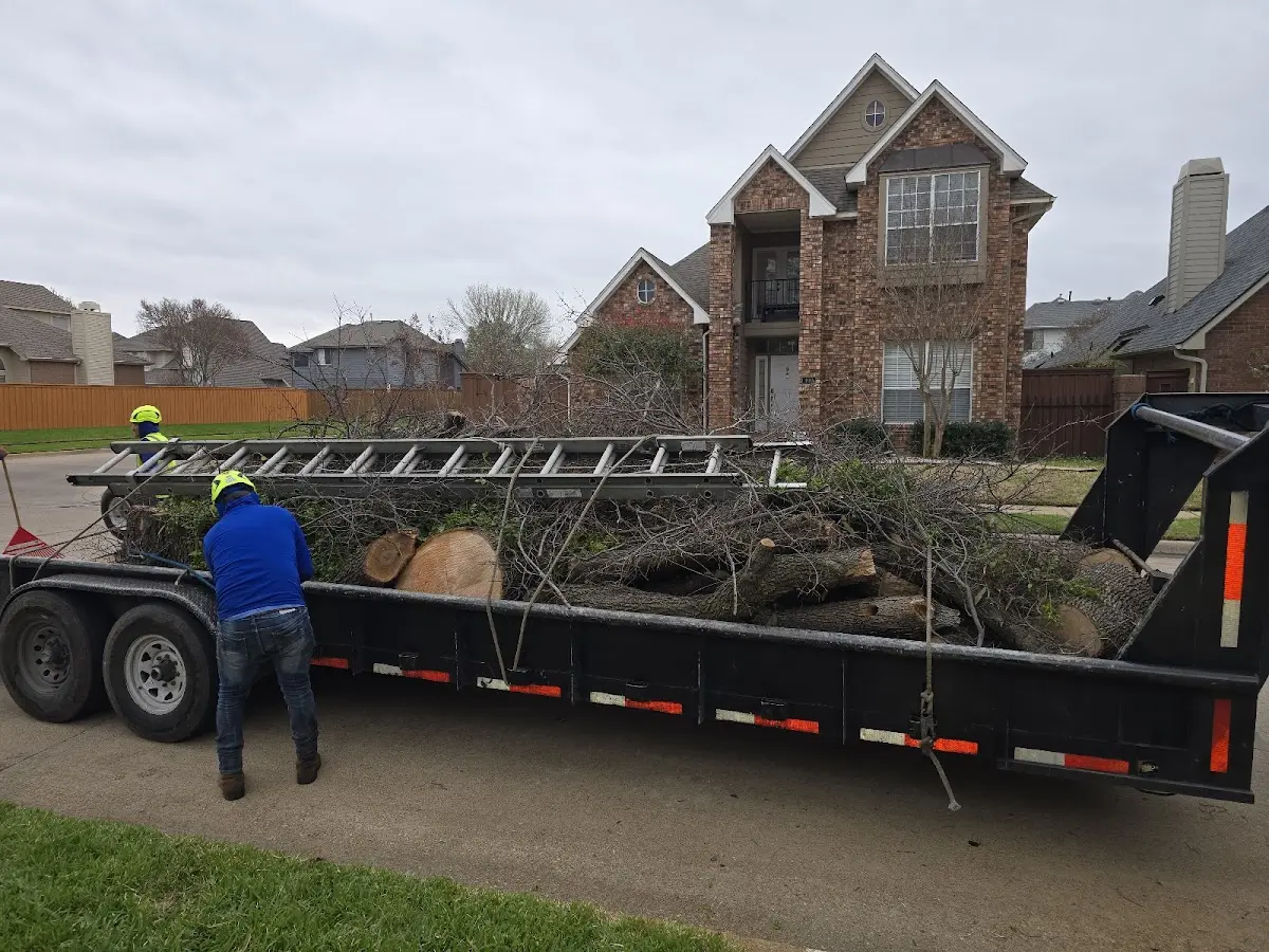 Expert Tree Fertilization with proper safety equipment in Whitt